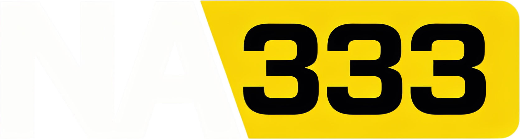 NA333 logo